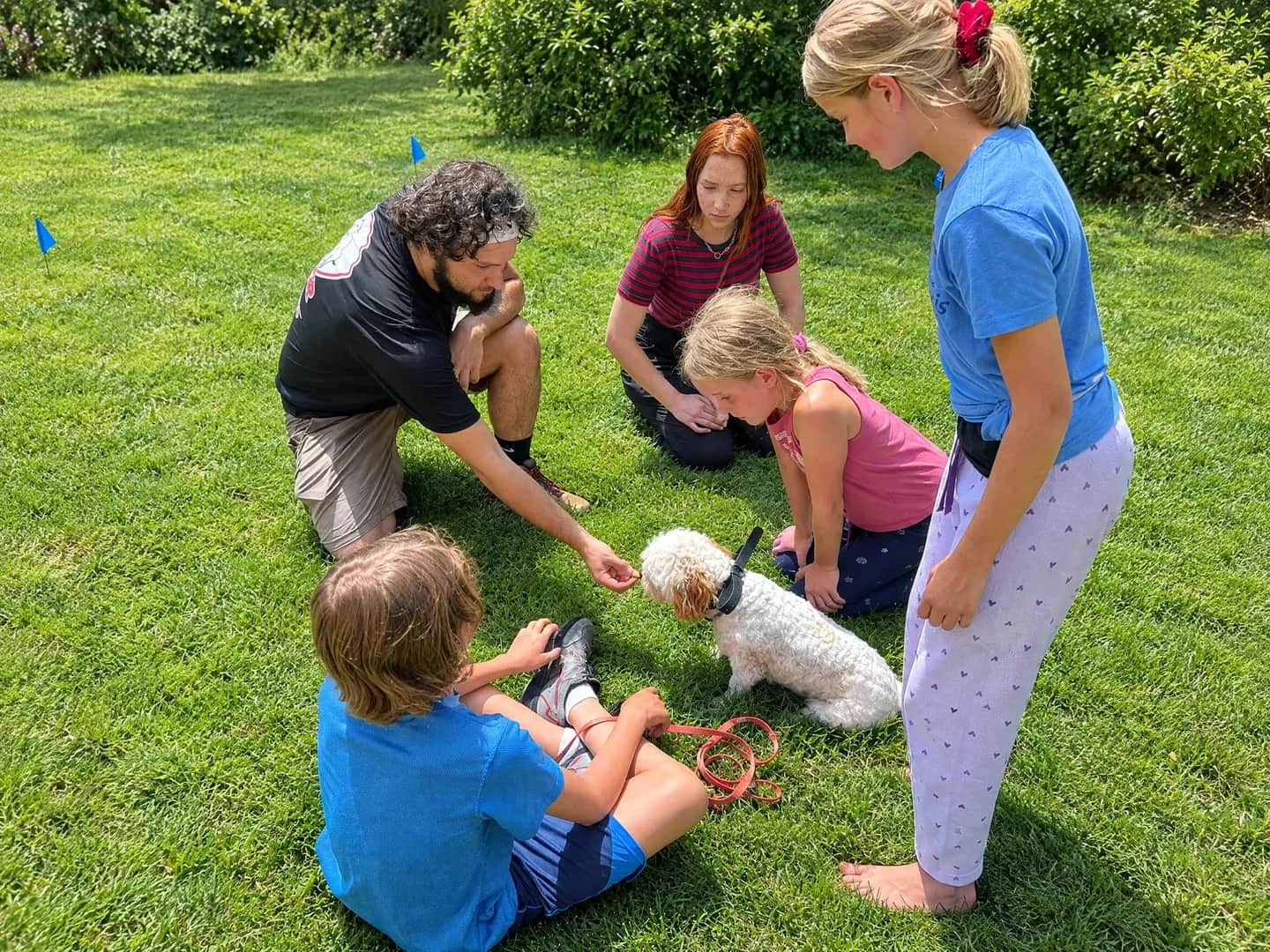 An installer practicing with a dog and family beside boundary flags.